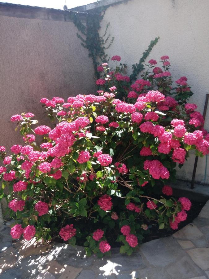 Gite Ozoo Saint-Aignan  Esterno foto
